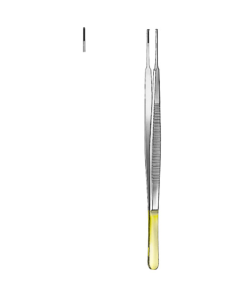 Dissecting Forceps