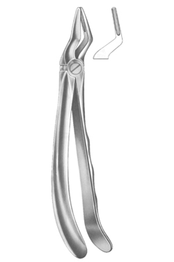 Extracting Forceps English pattern