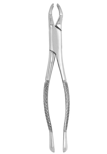 Extracting Forceps