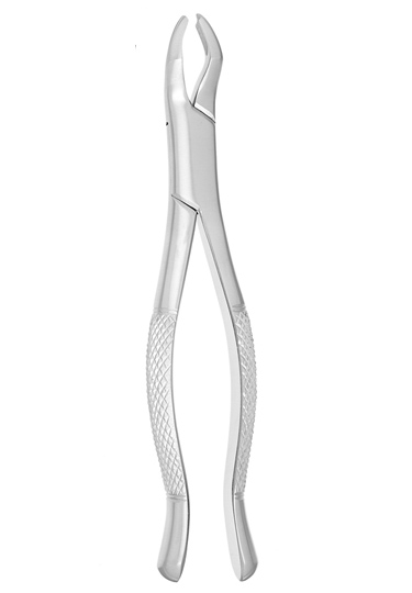 Extracting Forceps