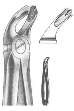 Extracting Forceps English pattern