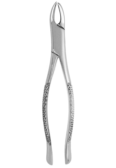 Extracting Forceps