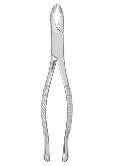 Extracting Forceps