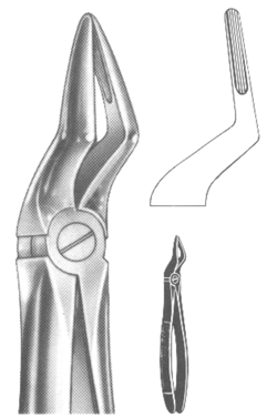 Extracting Forceps English pattern