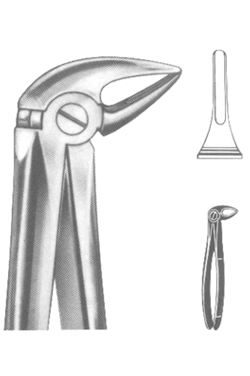 Extracting Forceps English pattern